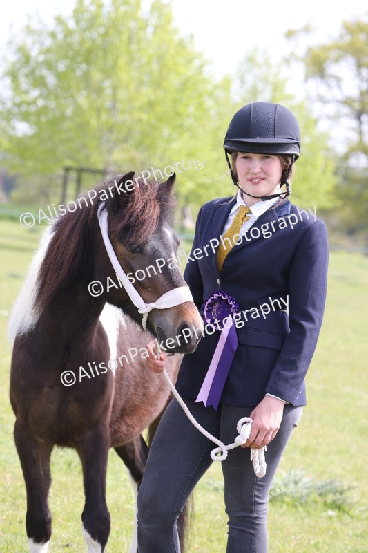20260426-3233 - Class 26 - Shetland Ponies and Minitures