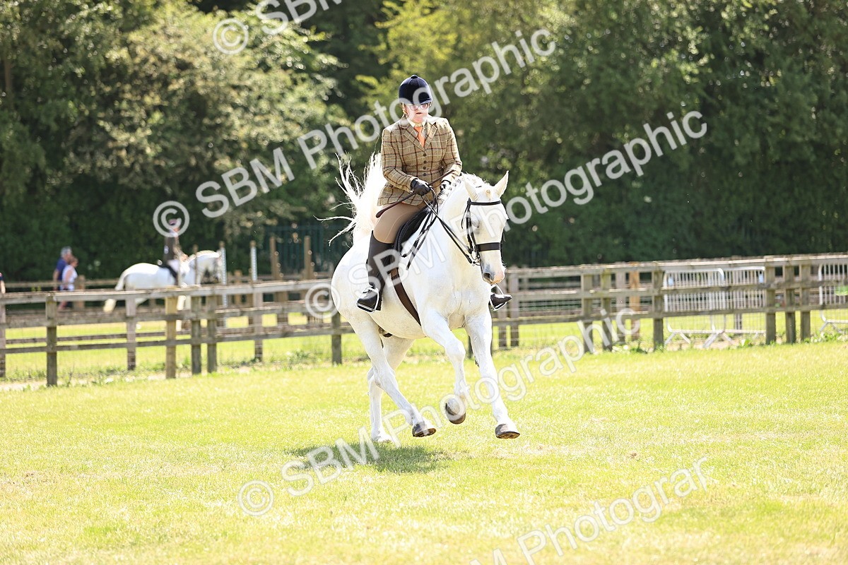 SBM_16150 - Class 79-80 - LIHS BSHA Rising Star Ridden Hunter