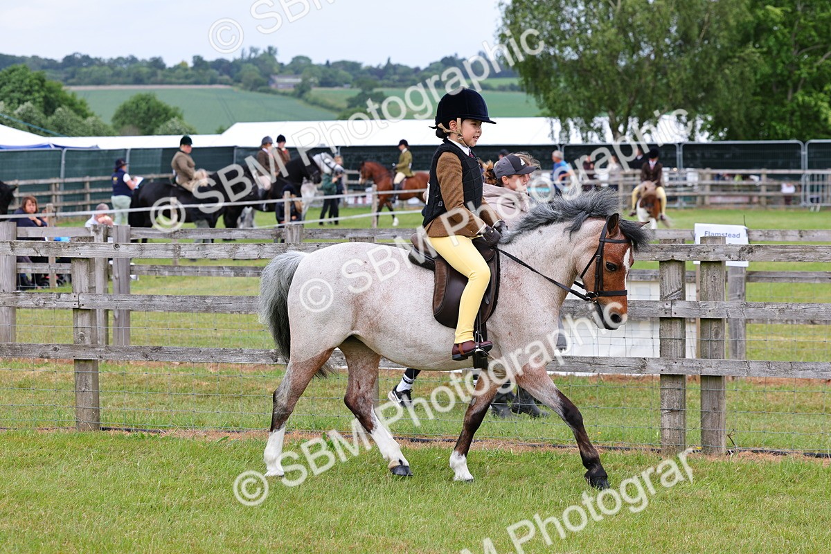 SBM_08551 - Class 42-43 - LIHS BSPS Heritage Working Sports Pony
