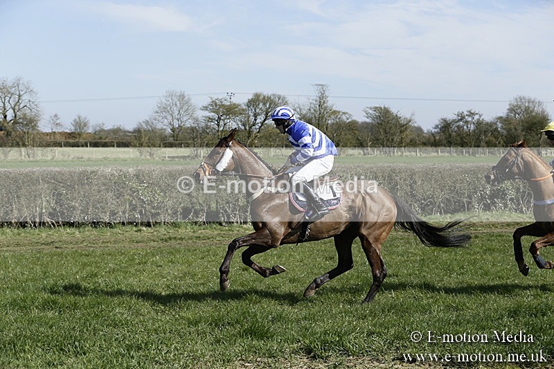 PtP 250317 105 - V.W.H. Hunt Point-to-Point Siddington 25/03/17
