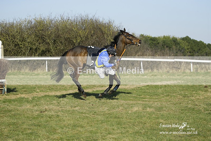 PtP 270222 372 - South & West Wilts Point-to-Point Larkhill 27/02/22