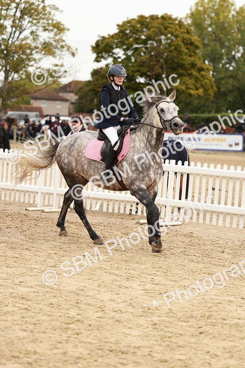 SBM_57997 - J11 - Junior Pony 50cm Championship