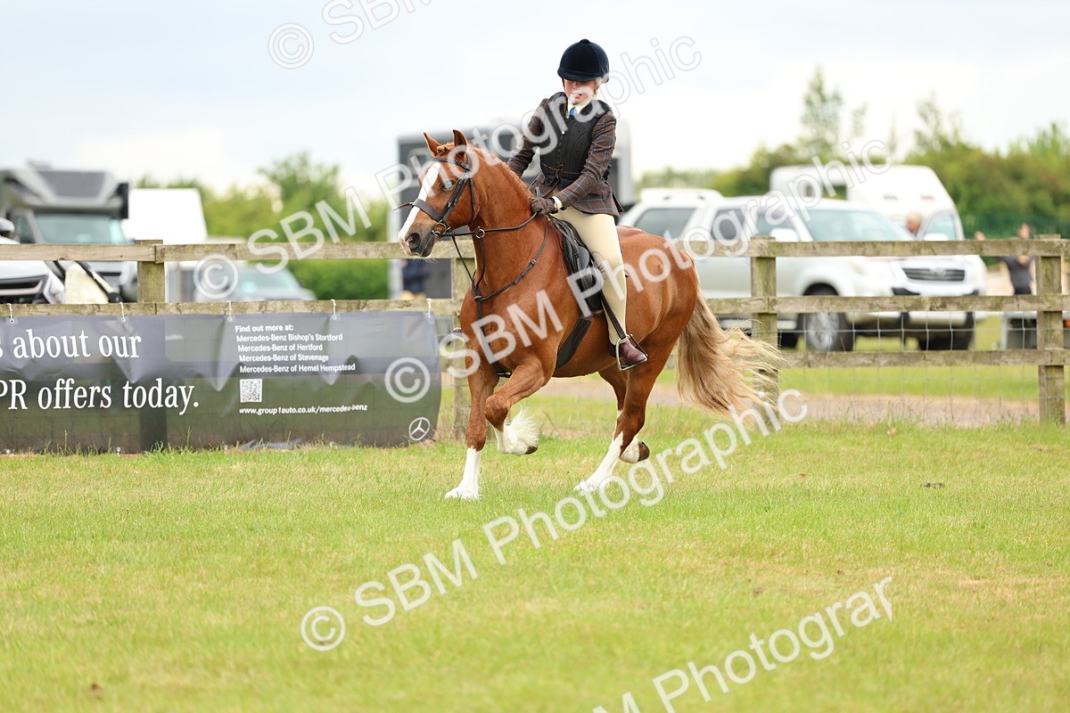 SBM_10346 - Class 44-45 - LIHS BSPS Open Nursery and Cradle Stakes