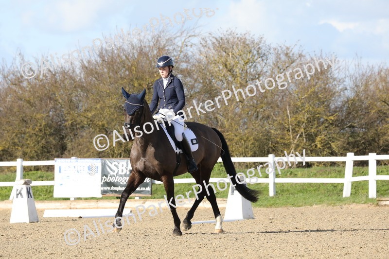 20260314-5046 - CT6 - Elementary 1