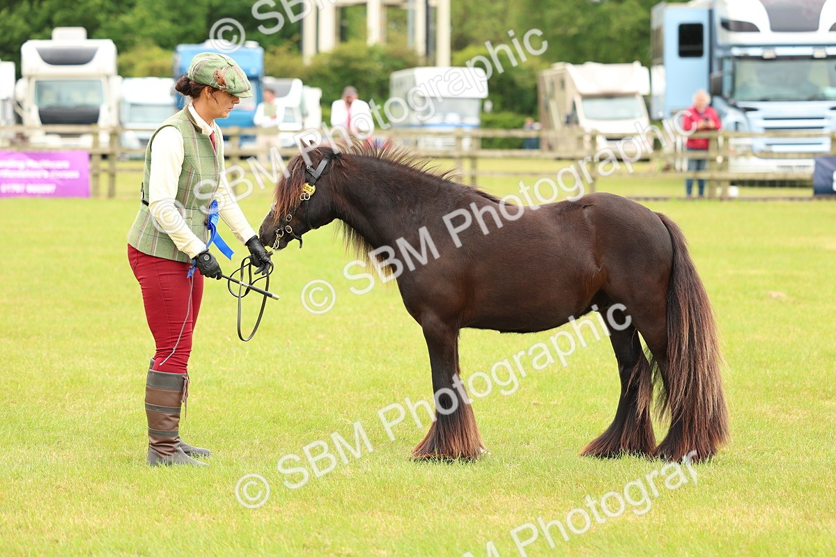 SBM_06308 - Class 39-41 TGCA In Hand and Ridden