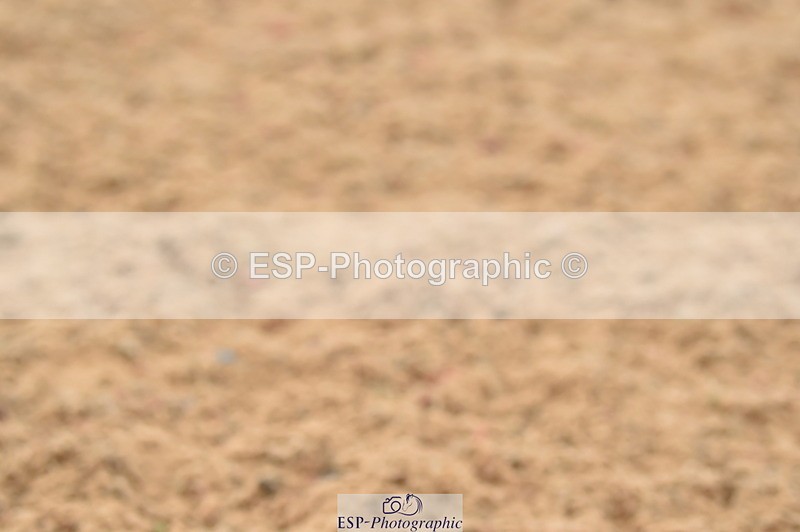 230720A-124614-02647 - Cls 13, 1 Star Bronze 1.10m