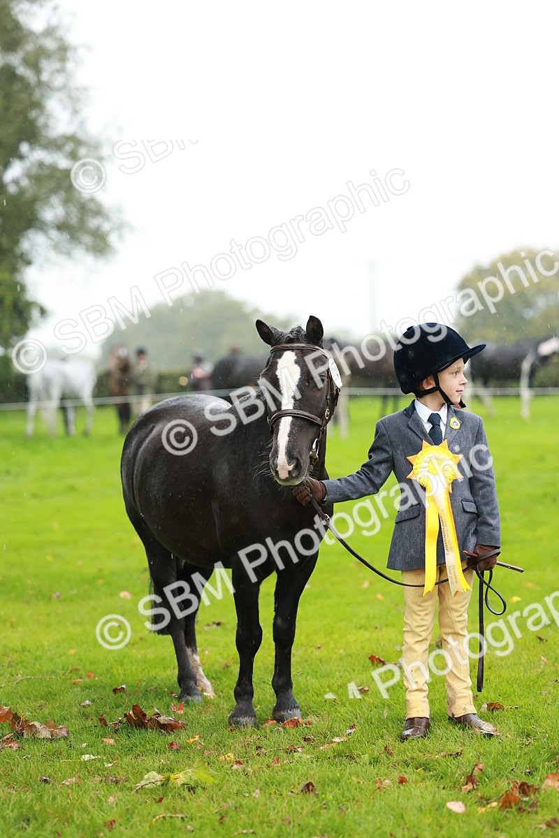 SBM_34947 - S10 - Best In Hand Horse & Pony