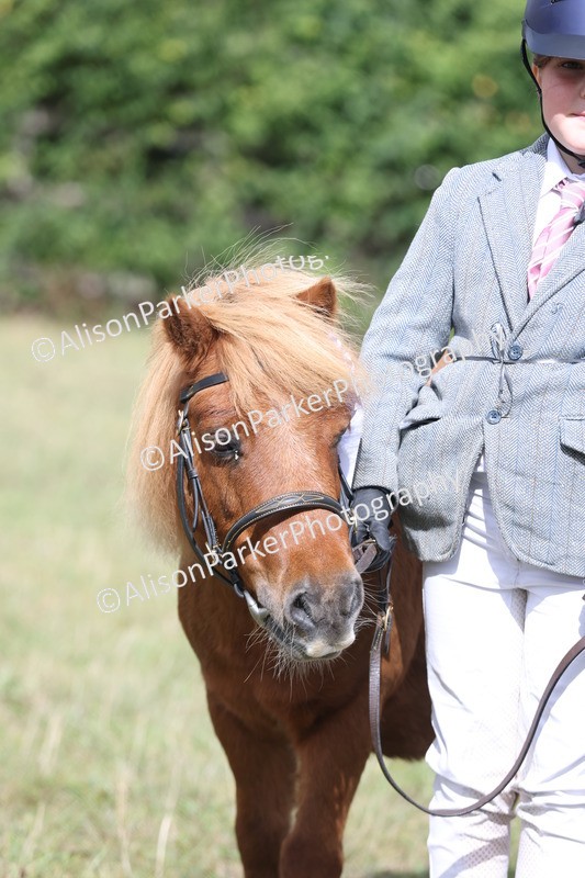20250831-1721 - Previous show - Lambourn 2025