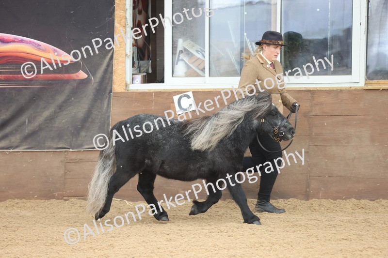 20251109-0026 - Class 3 - 2 and 3 Year Old