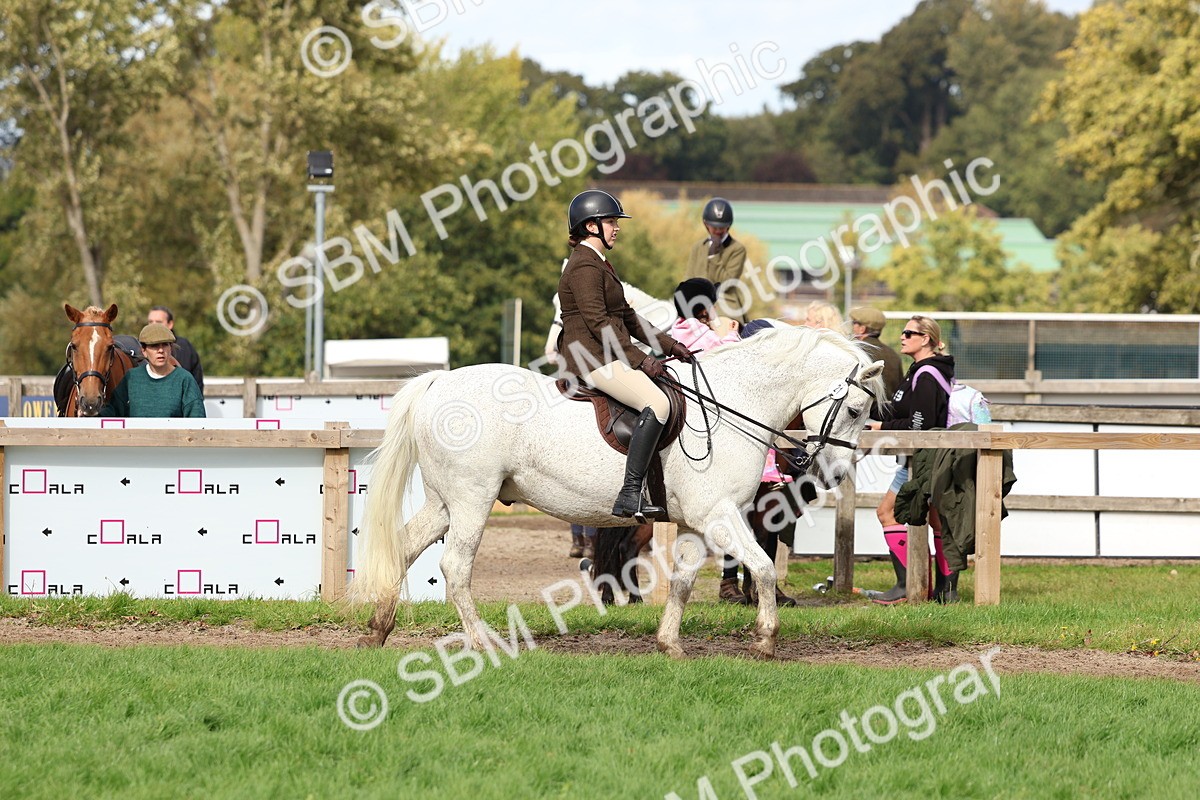 SBM_47587 - S28 - Veteran Ridden