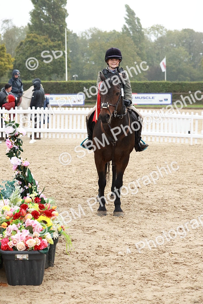SBM_73624 - Supreme Championship Junior Pony 60cm & 65cm