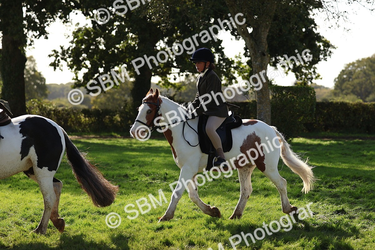 SBM_52437 - S13 - Pony Club Pony
