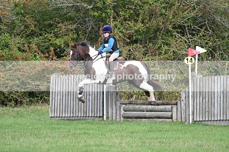 WJ7_8392 - 60cm Pairs