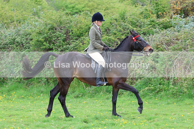 3E7A1941 - Class 10: Ridden Sports Horse