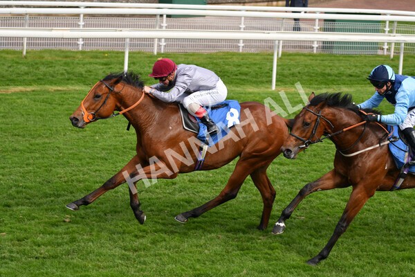 yr13052021r6-35 - Race 6 4.15pm Constant Security EBFstallions.com Maiden Stakes