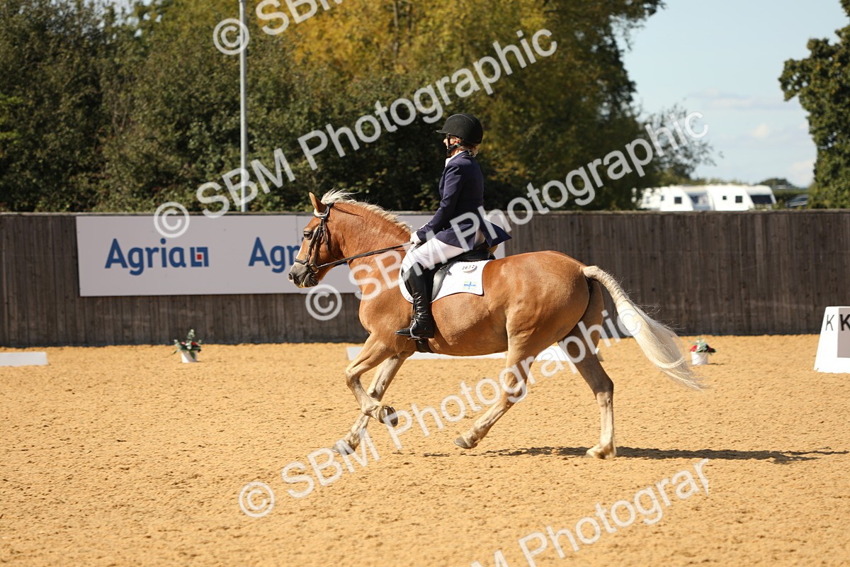SBM_22408 - D17 - Grand Tour Championship - Novice 27