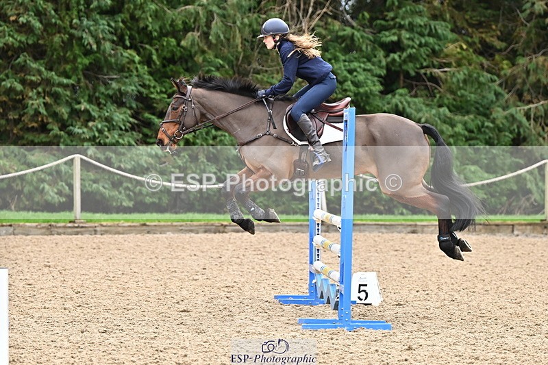 250201A-113429-00452 - Cls 02 Local Horse 100cm