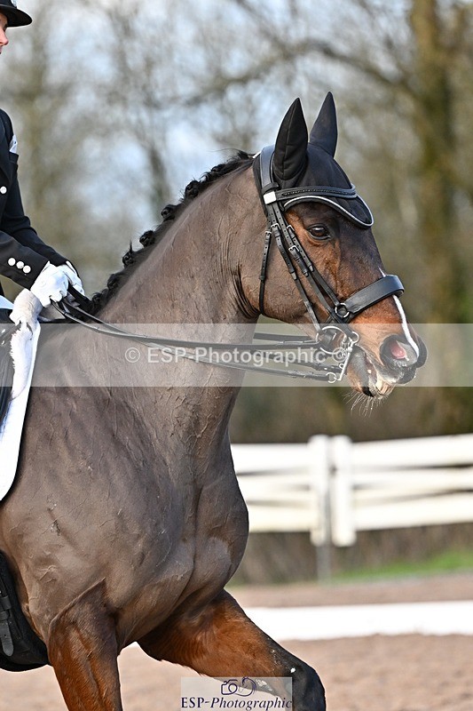 241214-150115-03053 - 160-Shelly.Smit-Sharp.Sharp