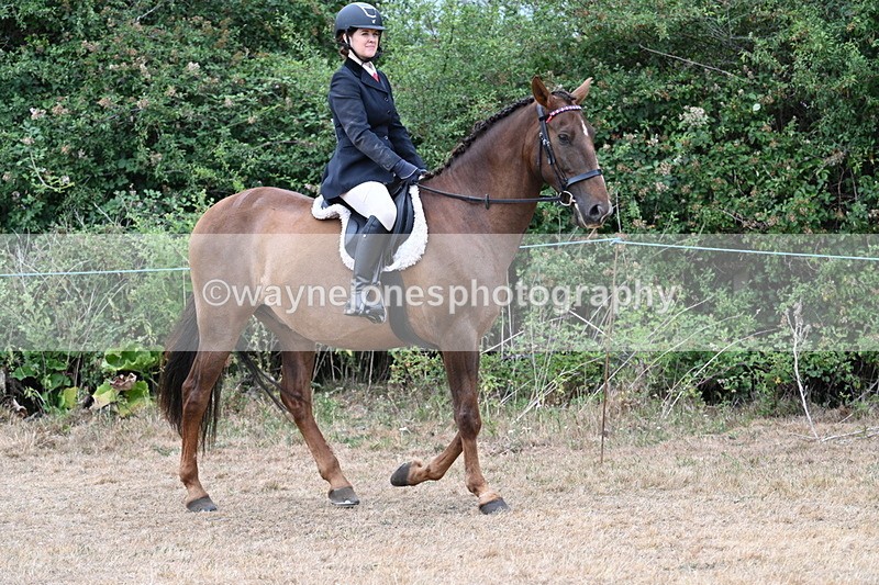 WJ7_0762 - Class 7 Riding Club Show Horse