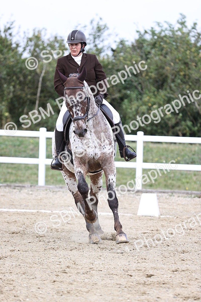 SBM_016852 - Class 14 Novice 23 - 11.53-12.56