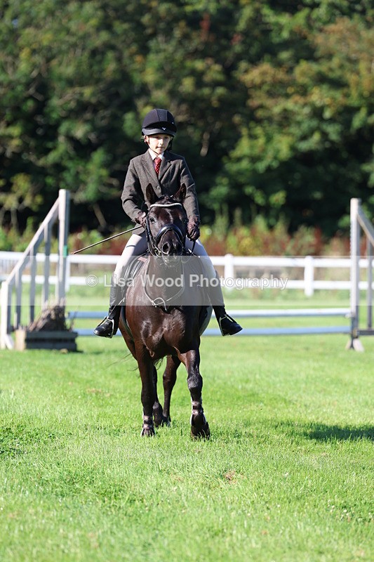 3E7A7490 - Class 1: Novice Working Hunter Pony