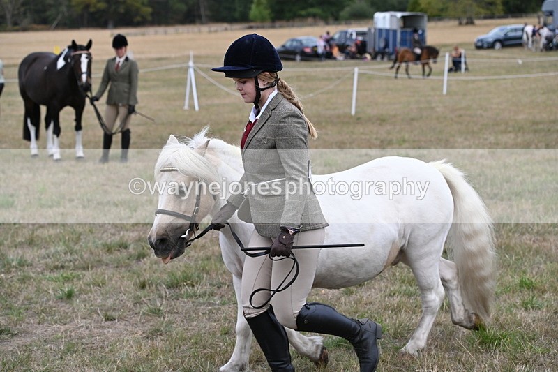 WJ6_6137 - Class 19 In-hand Veterans (Uploaded correct folder)