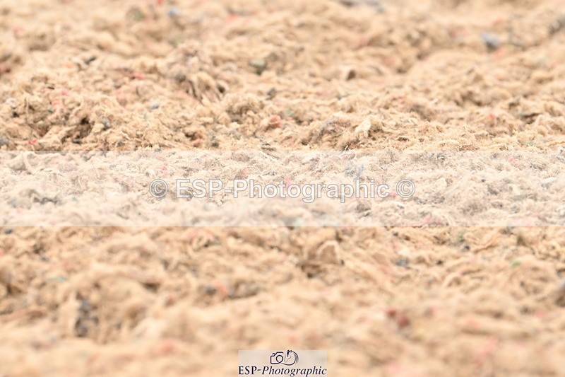 240623A-151957-19560 - Cls 51 BD Elementary 53