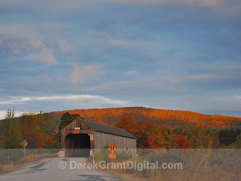 NB Autumn Foliage - Bloomfield Creek Covered Bridge - Autumn Foliage