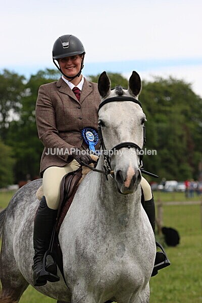 IMG_2861 - Working Hunter