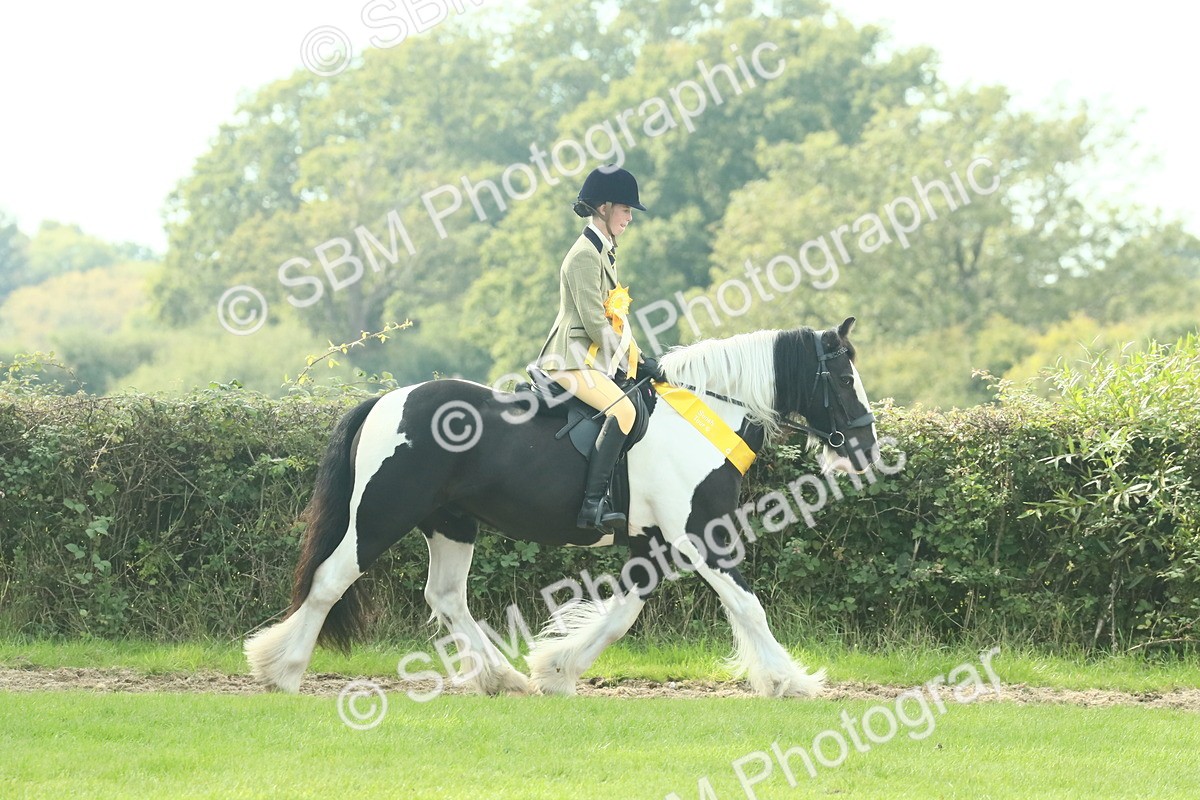 SBM_68987 - S58 - Mini Show Cob Ridden