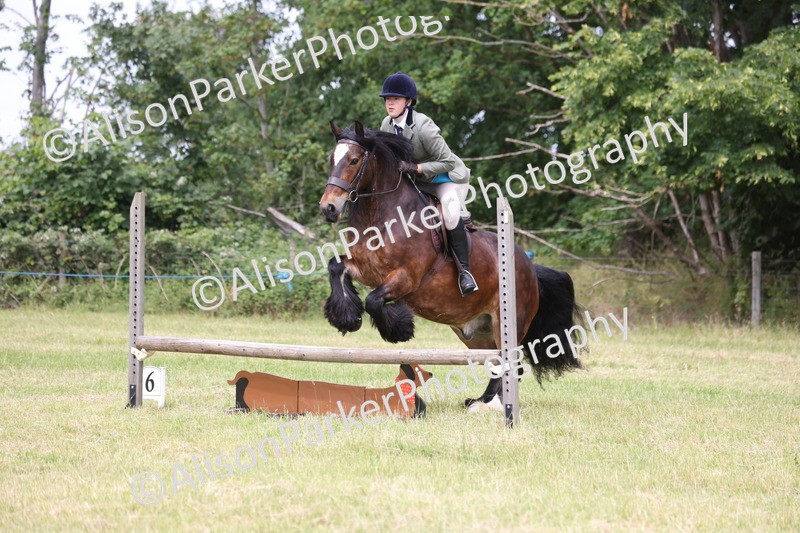 20260614-2925 - Class 22 - Open Working Hunter