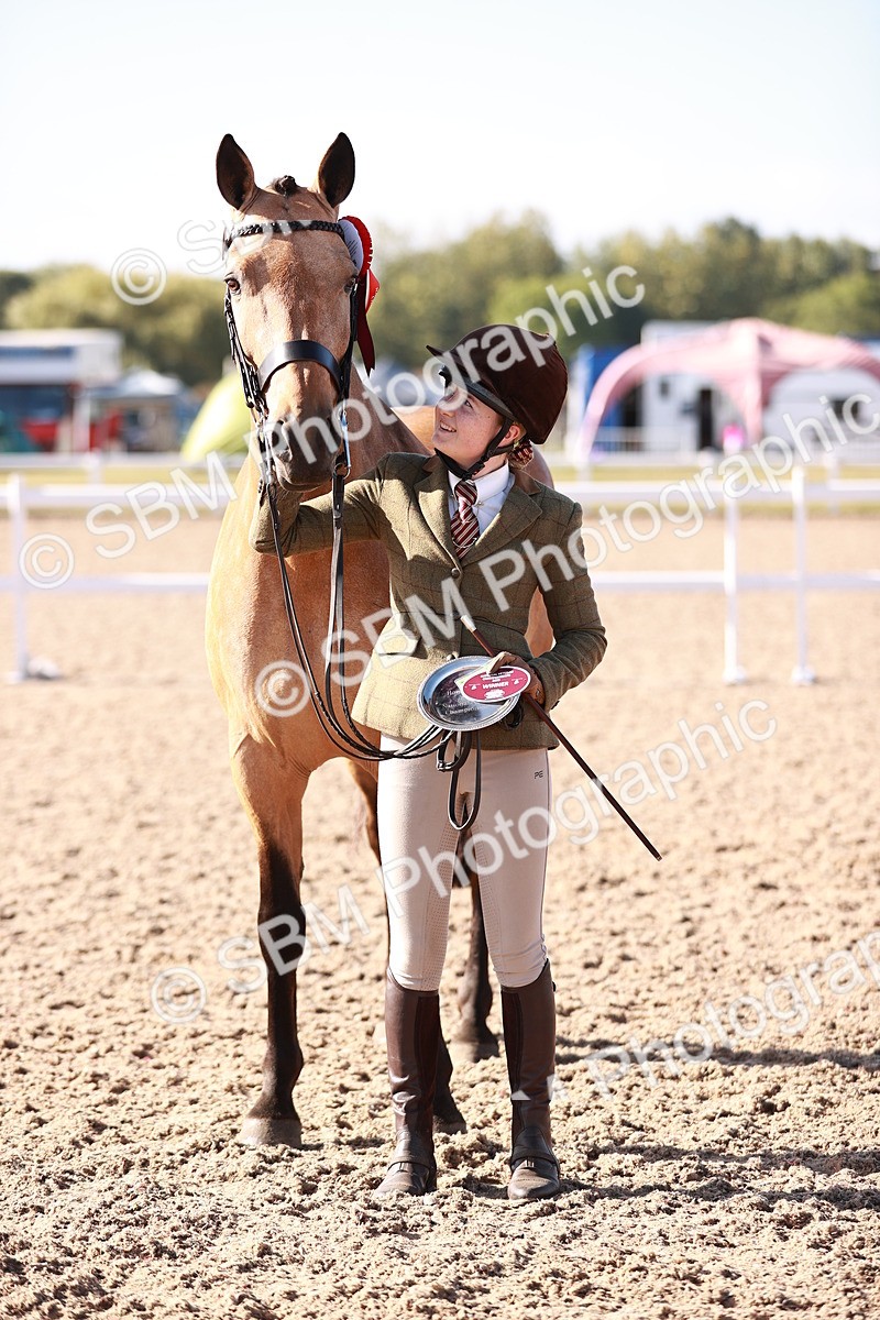 SBM_22086 - Class 703 - IH Coloured