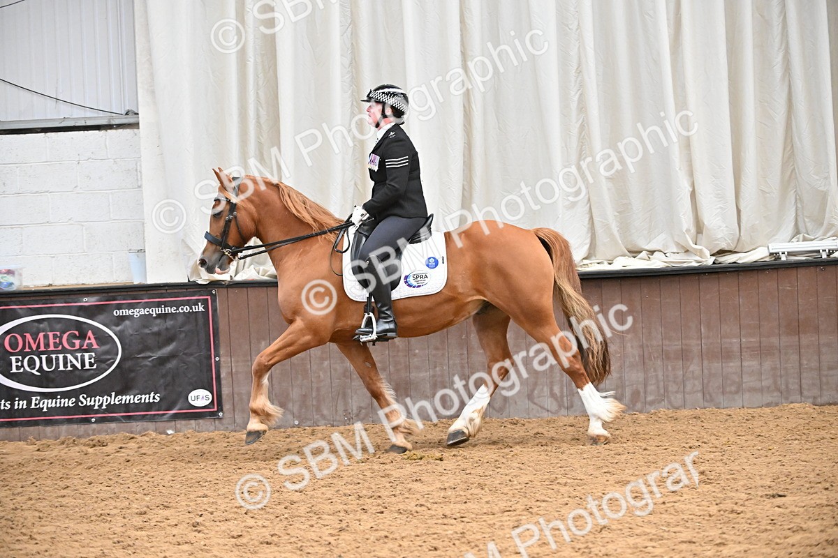 SBM_001476 - Class 19,20 - Ridden Native, Foreign Breeds & Warmbloods