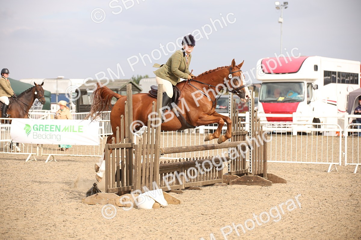 SBM_17310 - Class 410a - Wor5king Veteran 90cm (15-19)