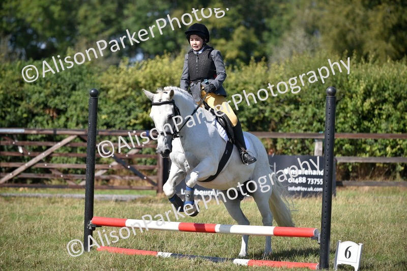 20260906-1682 - Class 9 - Absolute Novice Jumping 45cm