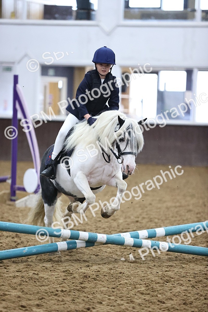 SBM_000053 - Class 1 - Fox Farriers 30cm