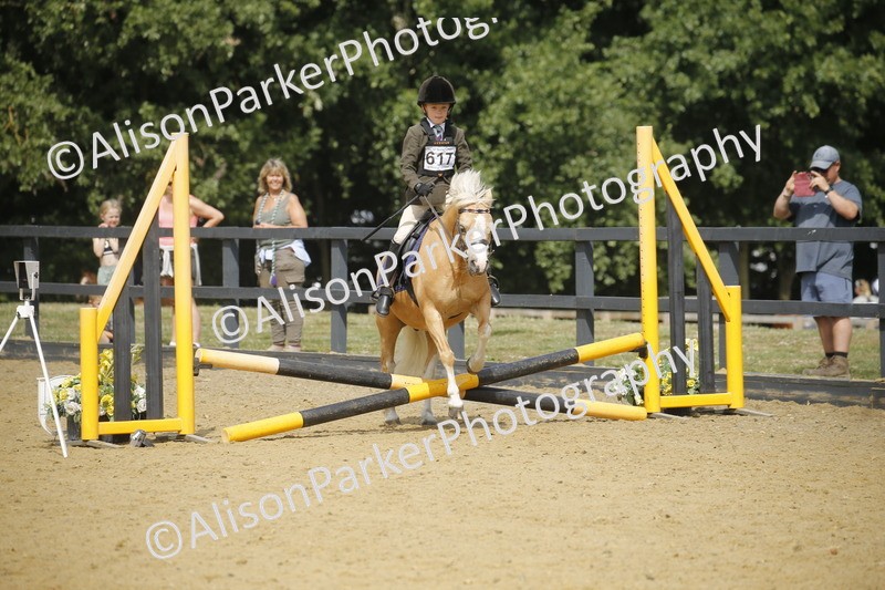 20250622-3789 - 50cm