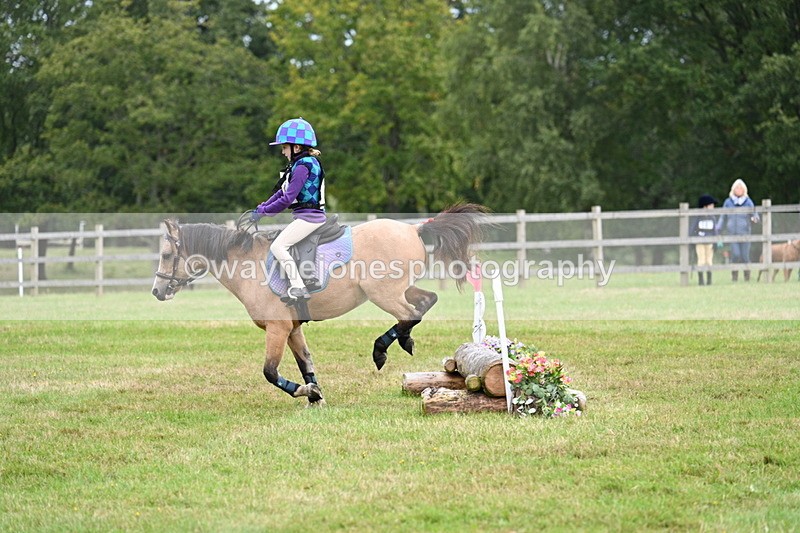 WJ7_7166 - 40cm Time 10:06 to 10:24