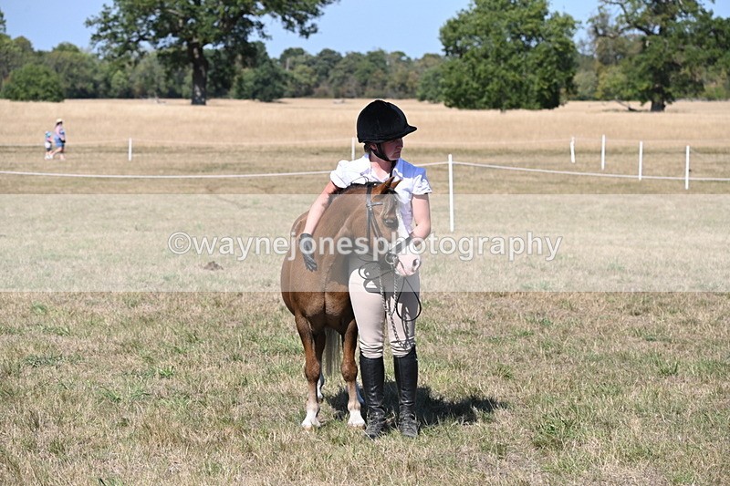 WJ6_9395 - Class 40 Cheekiest Pony/Horse