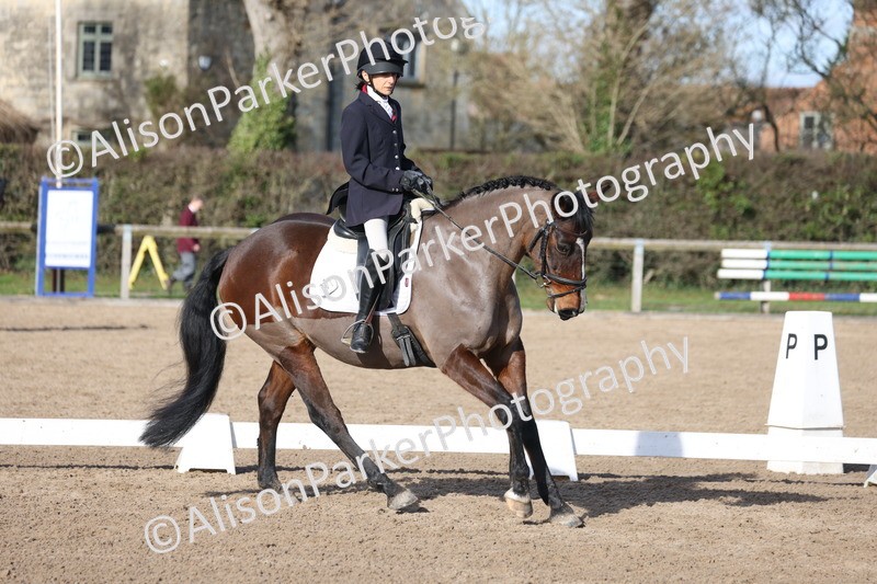 20260214-0550 - Class 5 - Novice 3