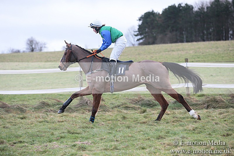 PtP 230119 192 - Royal Artillery Point-to-Point  - Larkhill  - 26/01/19