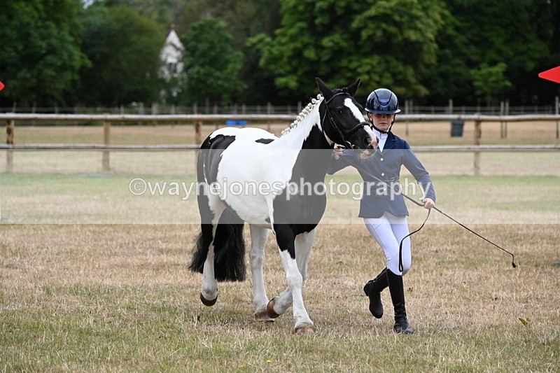 WJ6_4391 - Class 10 Coloured In-hand
