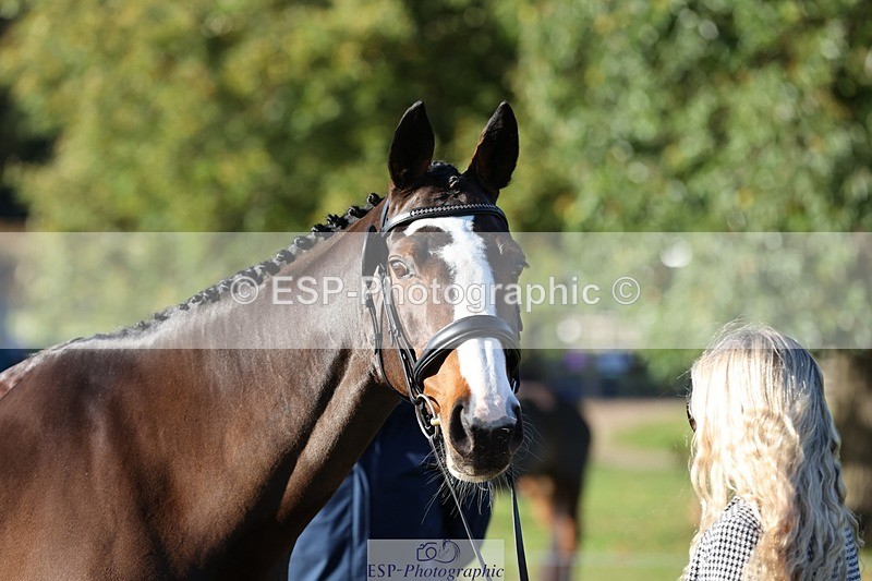 241027-091209-15112 - 351-Grace.Gillard-INDI