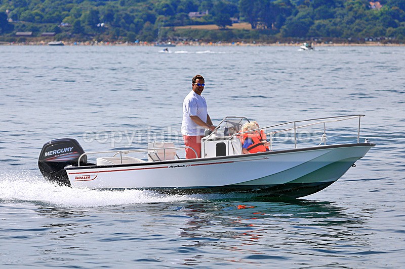 180804 UNNAMED - BOSTON WHALER 1Y3A4303 - RIBs, Tenders, Dories, Dinghies