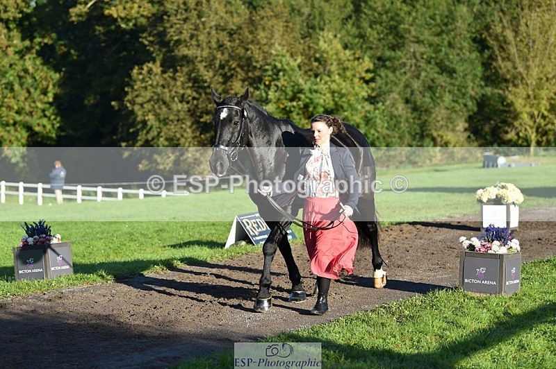 231022-093900-21944 - 414-LAMBORO.SPARKY-Lucy.Jowett-TrotUp+SJ