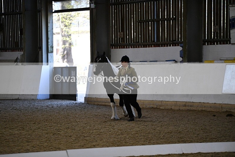 WJ5_3753 - Class 5 In Hand Veterans