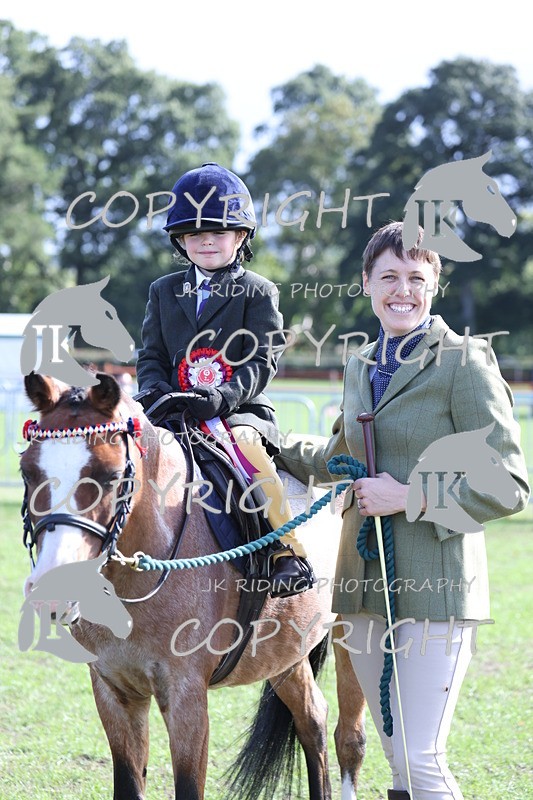 APP_3930 - Class 13 Lead rein