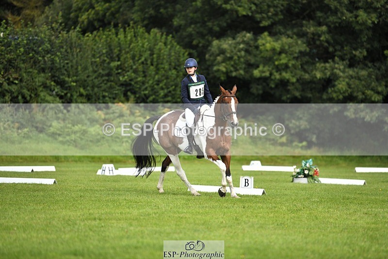 230826-101213-15406 - Sections C & D 10 to End