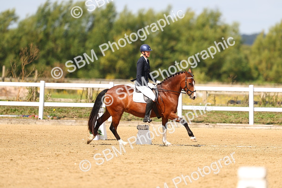 SBM_011428 - Class 2 - Prelim 19 - 10.08-11.18