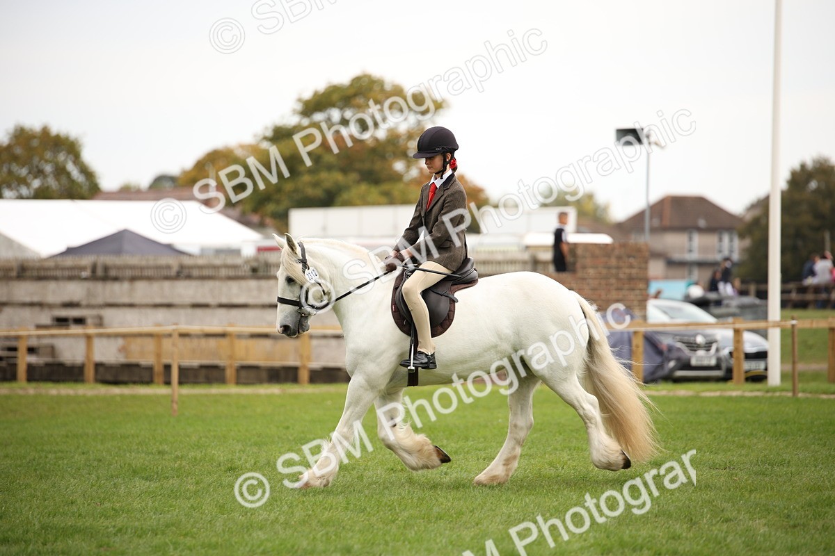 SBM_73532 - S68 - Traditional Cob Ridden